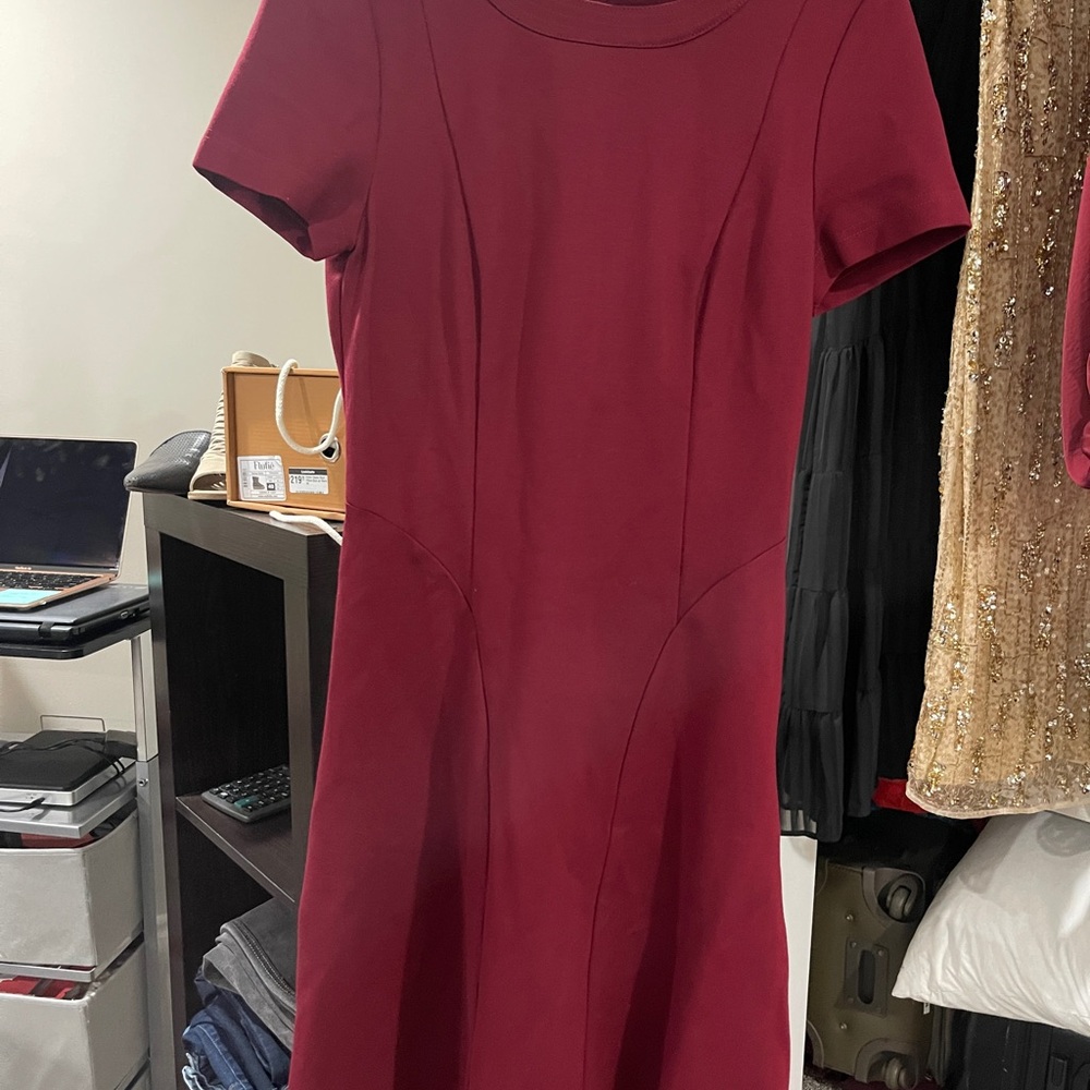 Elegant Burgundy Dress